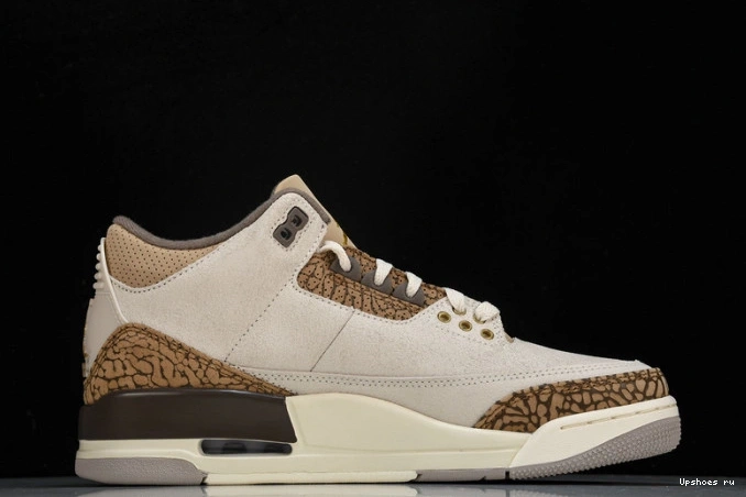   CT8532-102 Palomino Jordan 3 Retro 0323